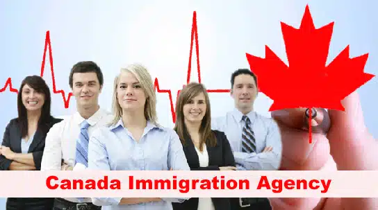 immigration consultant in calgary