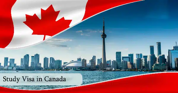 immigration consultant in calgary